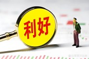 基金开户数和发行热度双高，投资者该如何抓住入市时机？