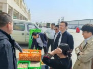 武强县探索产业帮扶新模式，解决农民种植专业合作社贷款等难题