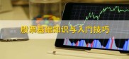 股票是什么？新手入门需知基本知识与技巧，速看