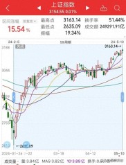 马可波罗冲刺A股市场，巨额拆借、关联交易等问题引质疑？