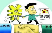 装修贷全攻略：办理条件、分期利率及注意事项详解