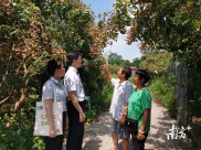 金融活水贷动清远乡村，股票投资者关注哪些振兴机会？