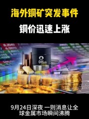 lme期货 LME期铜连涨六日创新高，背后原因你知道吗？
