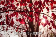 挖财记账理财论坛：4元投资是真是假？避坑必看