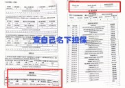 信贷档案检查要点：资料收集、担保措施及贷款三查制度落实情况