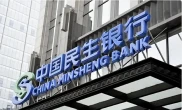 股东们争斗不休，投资者倒霉。新任行长王小勇如何拯救民生银行？