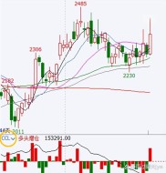 原木期货增仓减仓数据解析：揭示主力合约仓位变动与市场方向