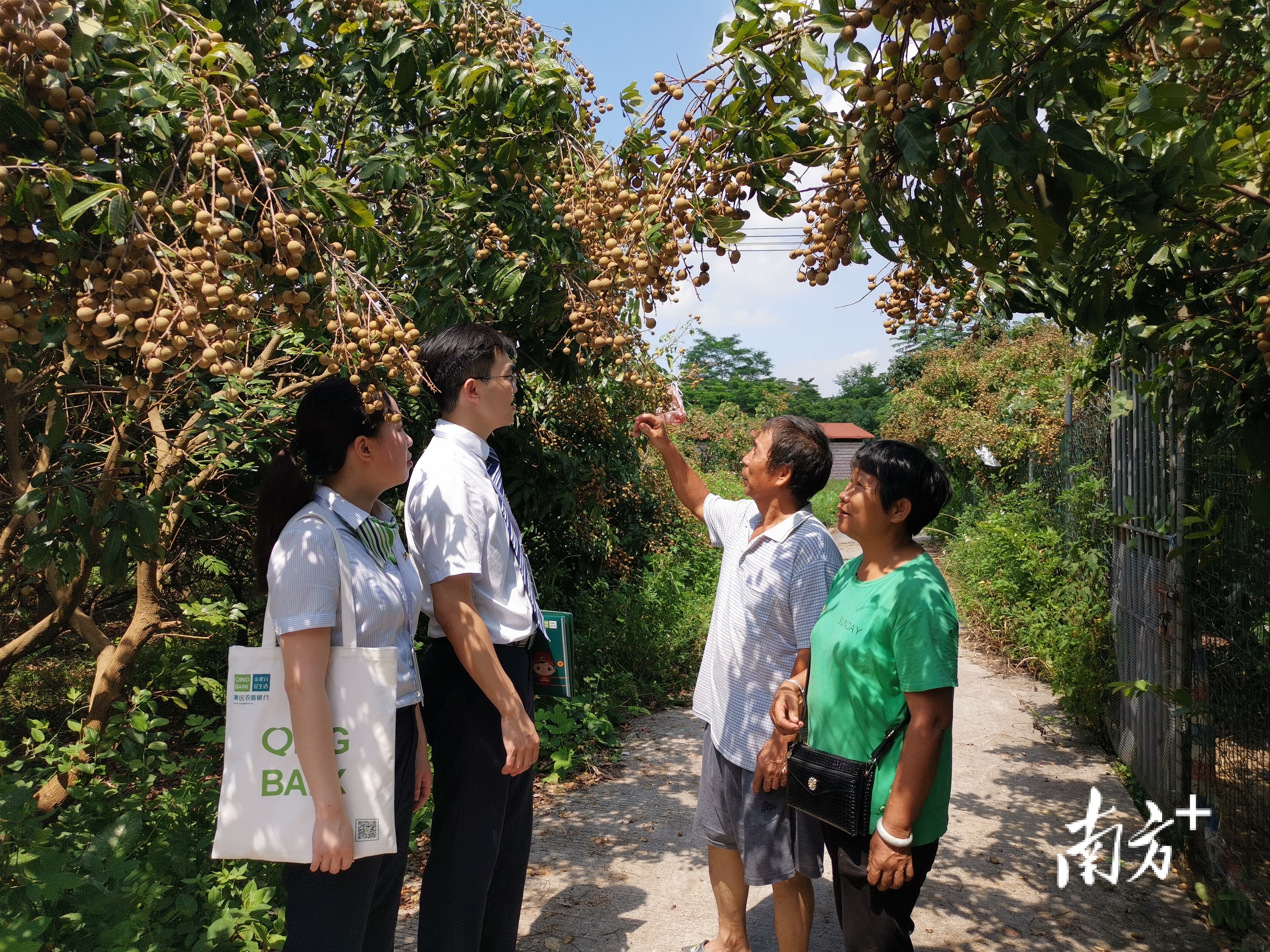 乡村振兴建设贷_清远金融支持城乡融合_金融清远股票投资