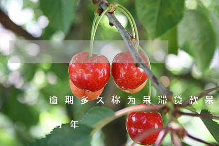 逾期多久称为呆滞贷款(呆滞贷款指的是逾期两年)