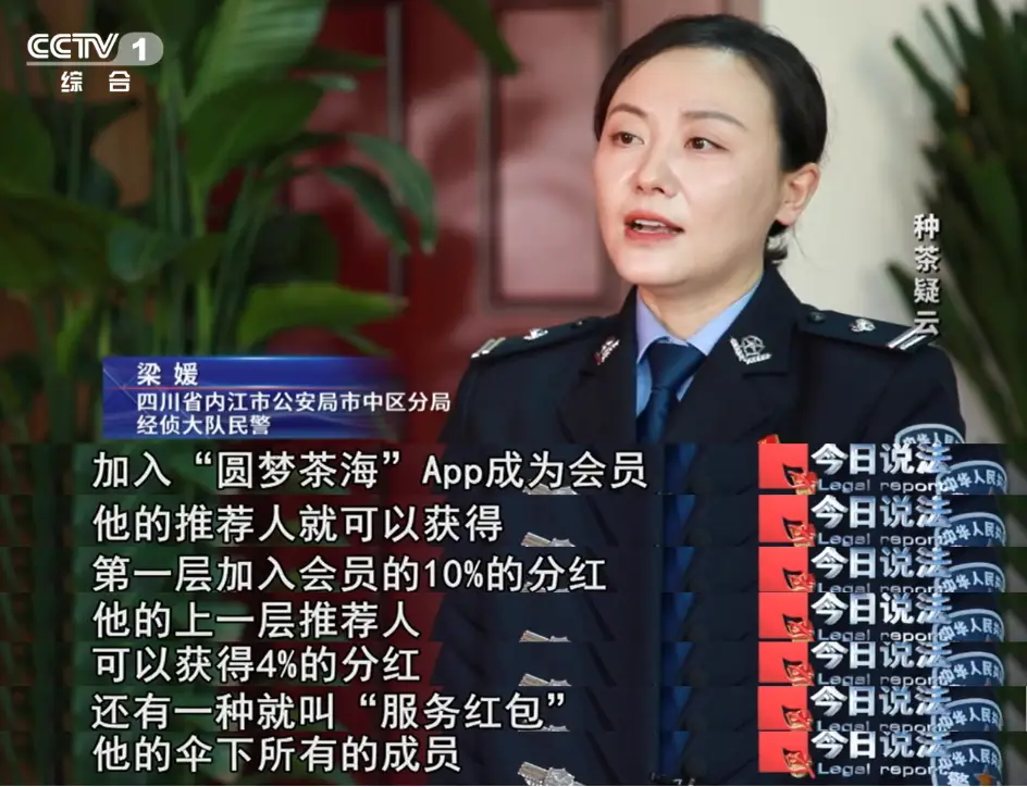 云端种茶骗局_虚拟种茶投资_云端理财安全吗