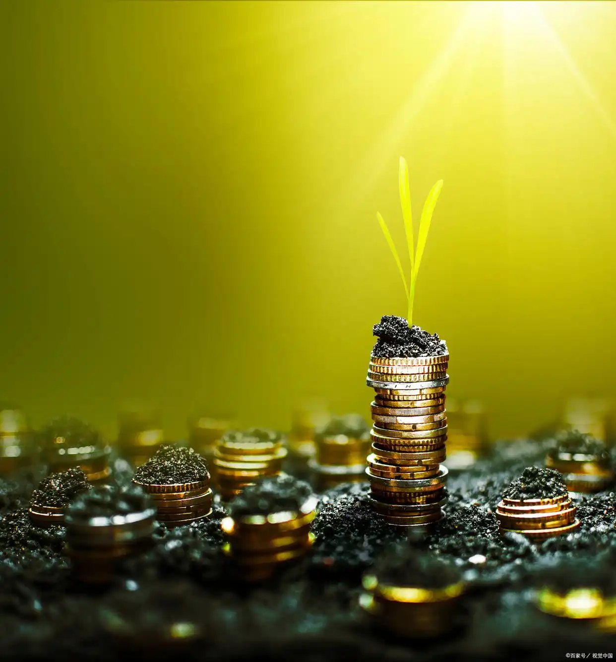 投资理财做什么_我要投资与理财怎么做_理财需要投钱吗