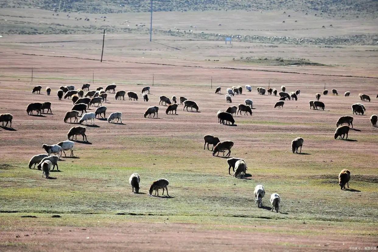 上市公司股票终止的情况_上市股票结束处理公司怎么办_未上市股票公司结束如何处理
