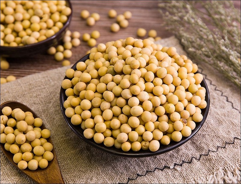 大连豆粕期货_大豆市场分析_豆粕价格走势