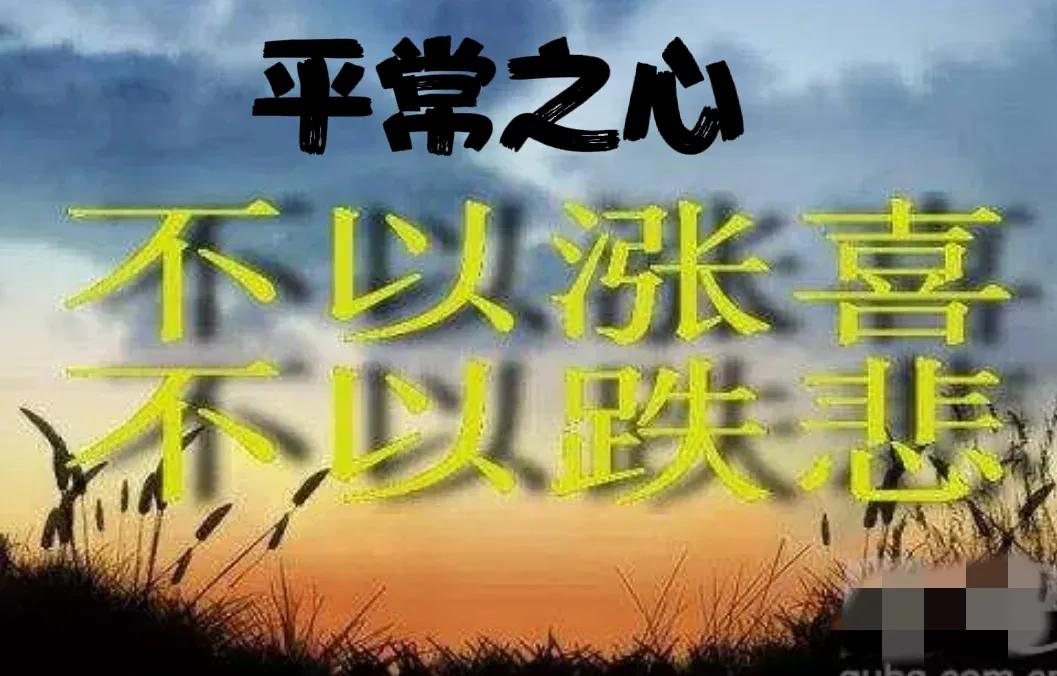 股市投资五年心得_价值投资理念与策略_股票投资分析报告2025