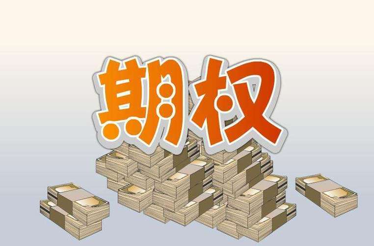 员工持有公司股票期权_股票期权制_股票期权激励制度