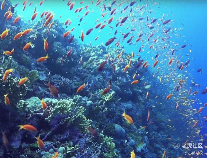 股票期权的作用与交易方式_股票期权是什么怎么交易_不可公开交易的股票期权