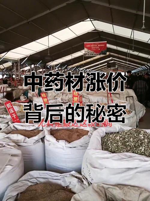 云南白药股票投资分析报告_中药ETF560080行情分析_中药板块估值投资机会