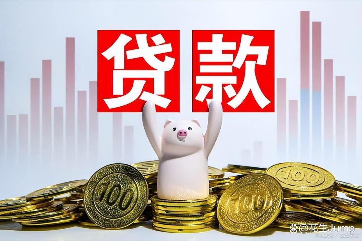 融资难融资贵_固定资产贷款 项目贷款_中小企业主困境