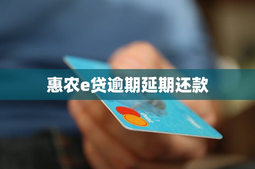 惠农e贷逾期延期还款