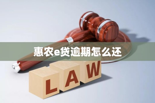 惠农e贷逾期怎么还