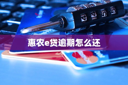 惠农e贷逾期怎么还