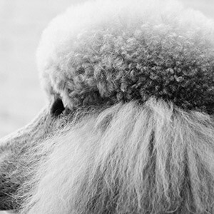 股权转让协议怎么写_权证和股票期权的区别_公司股权转让流程