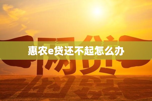 惠农e贷还不起怎么办