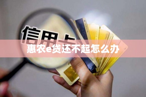 惠农e贷还不起怎么办
