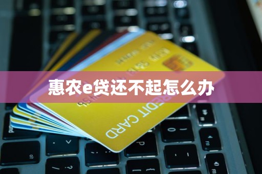 惠农e贷还不起怎么办