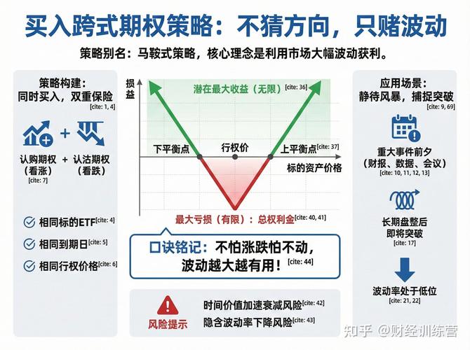 小白期权入门指南_期权快速学习大纲_股票期权计划的特征填空题