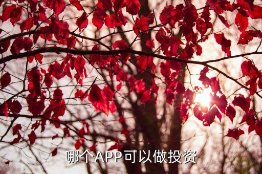 哪个APP可以做投资