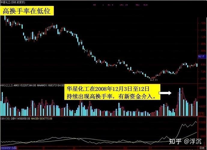 社会文化因素_中国股票市场论文_中国散户股市投资交易决策